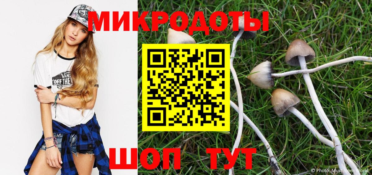 Галлюциногенные грибы GOLDEN TEACHER  Псилоцибиновые грибы ЛСД  Вход с VPN  Звенигород 